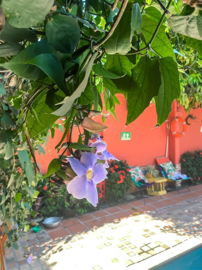 Hotel Casa De Verano - Solo Adultos - Santa Fe de Antioquia Buitenkant foto
